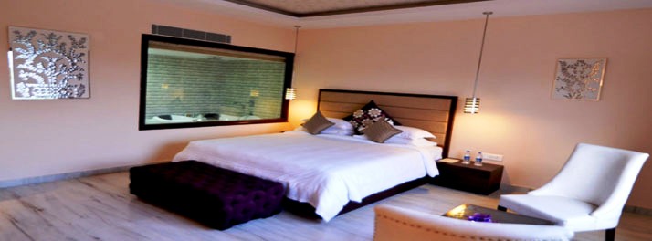 2327/Q Hotel - Udaipur 09.jpg